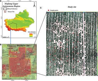 Recognition of spider mite infestations in jujube trees based on spectral-spatial clustering of hyperspectral images from UAVs